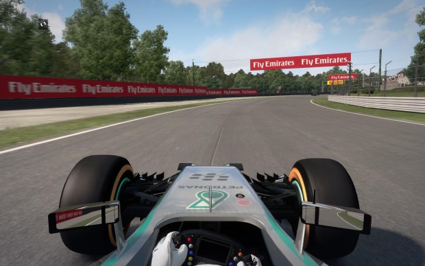 F1 2014 (Screenshot: Golem.de)